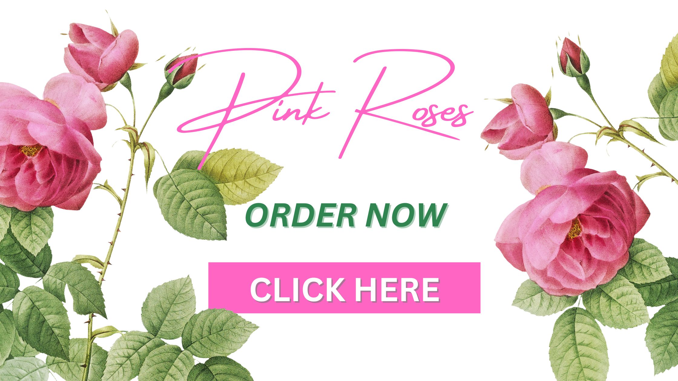 Pink Roses Order Now